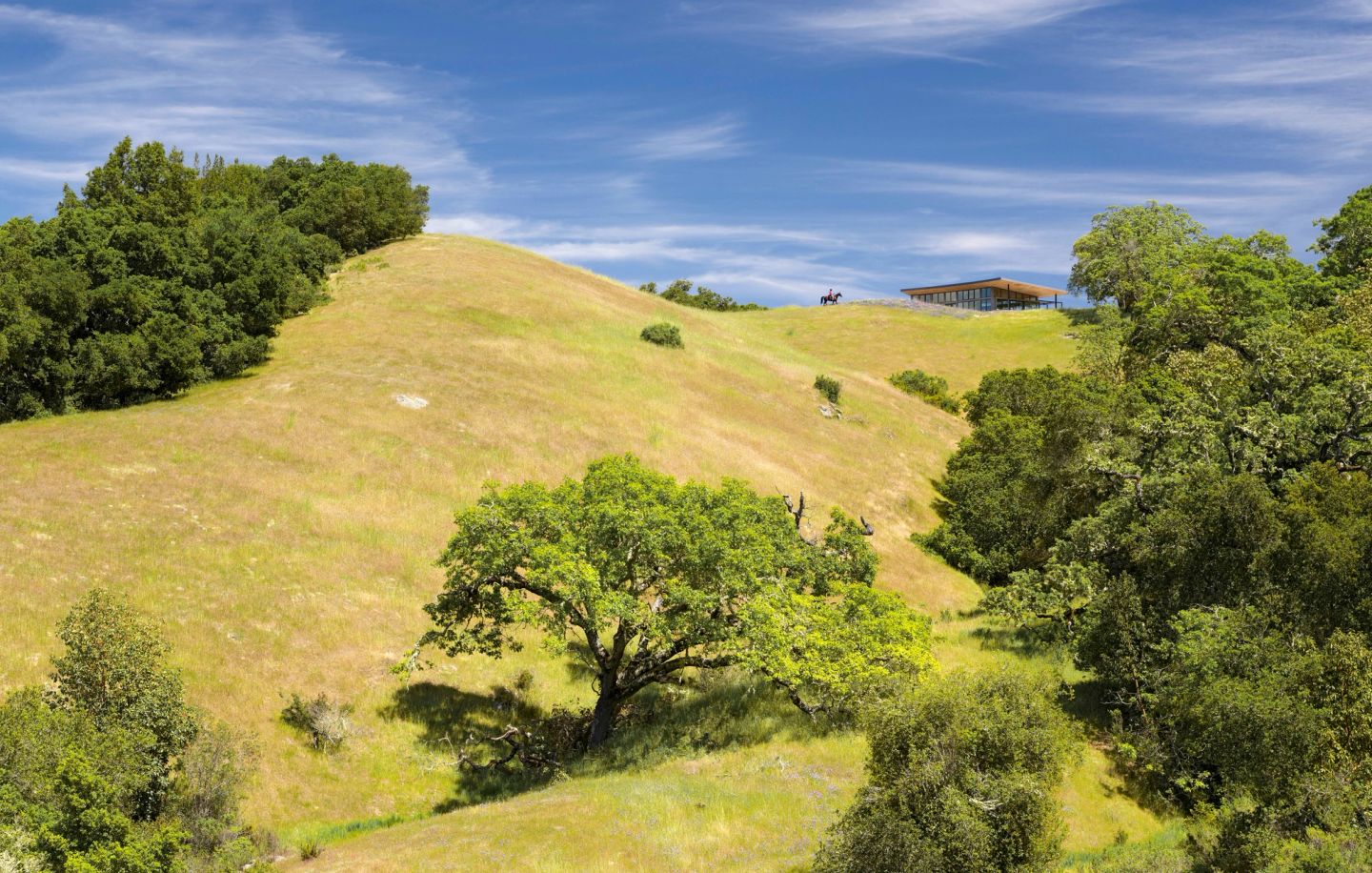 Caterpillar House low on a golden California hillside