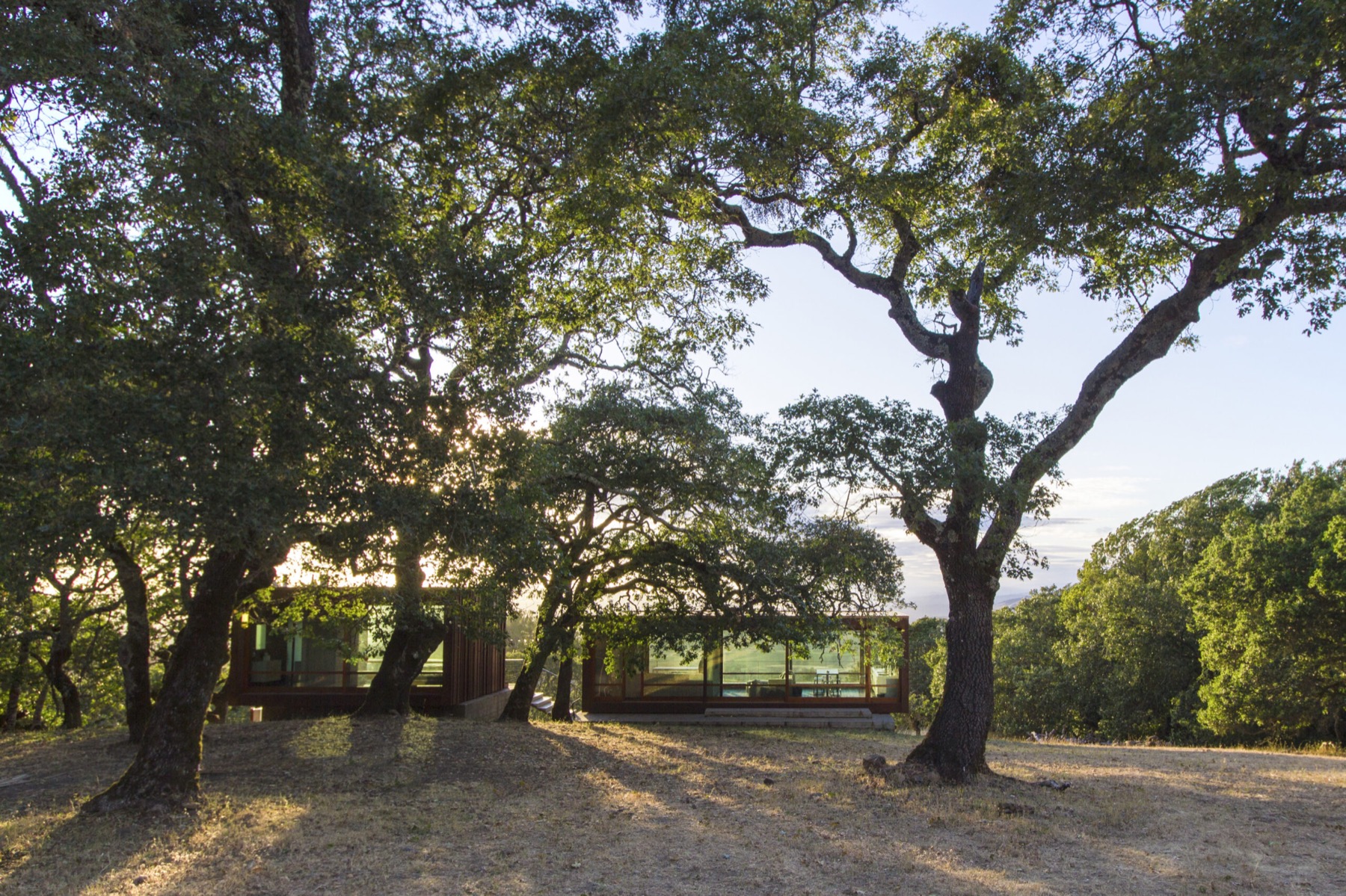 Sonoma weeHouse glimpsed through oak trees